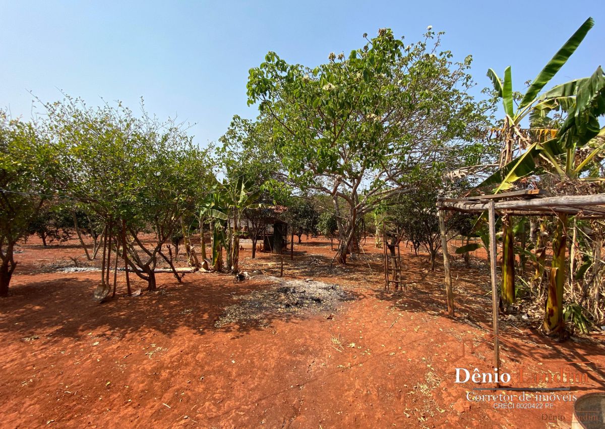 Fazenda à venda com 3 quartos, 80m² - Foto 5